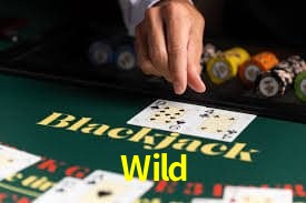 Wild Respuesta rápida a consultas de depósito y retiro