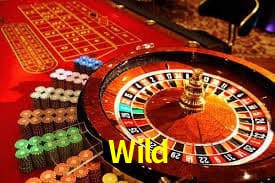 Wild Preguntas frecuentes sobre Wild en México